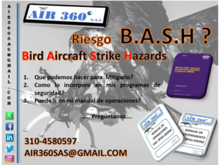 730 x 540 bash (10)