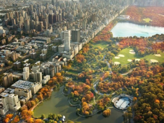 foto 3 new york